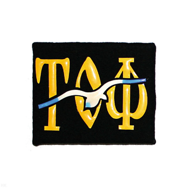 Погоны ДМБ мал. черные (чайка цветная) ТОФ