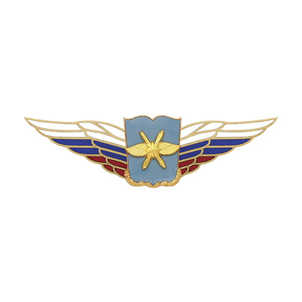 Значок мет. Должностной знак начальника военной академии (ВКС) (№52)