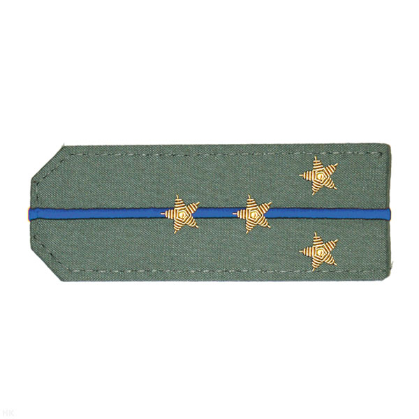 Погоны из рубаш. ткани оливк. с вышит. 1 вас. просв., вышит. канителью (капитан)