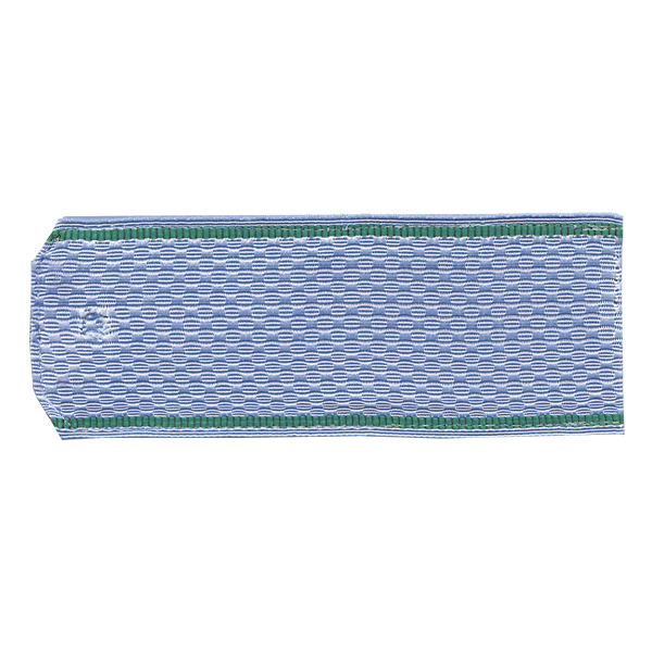 Погоны голуб. зел. кант (ПС ФСБ руб.) на пластике