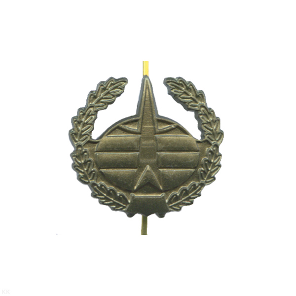 Эмбл. петл. мет. Космические войска защ. (неуставная)