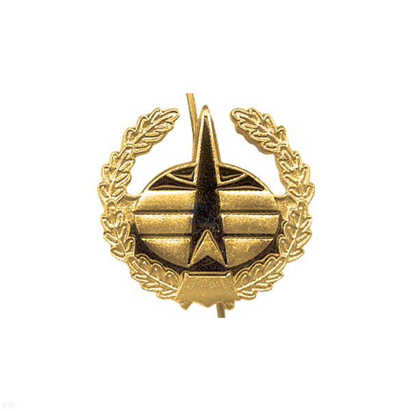 Эмбл. петл. мет. Космические войска зол. с эмалью (неуставная)