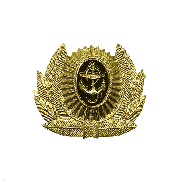 Кокарда мет. ВМФ РФ мичм.