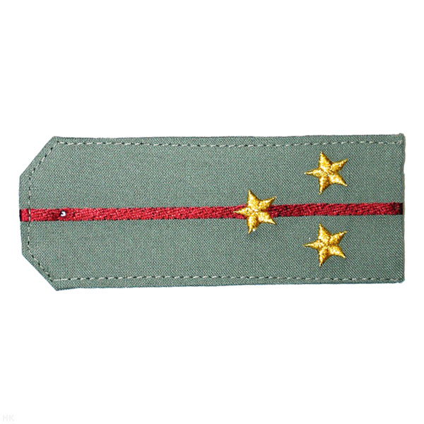 Погоны «машинная вышивка» из рубаш. ткани оливк. с 1 вышит. крап. просв. с вышит. звездами (ст. лейтенант)