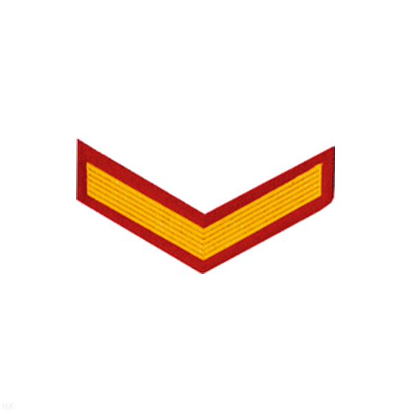 Курсовка пластизол. 1 курс (красн.) галочка