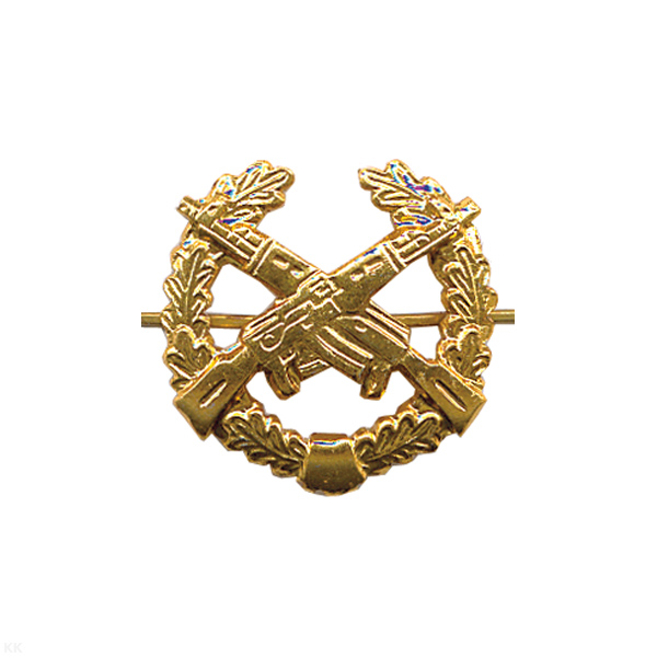 Эмбл. петл. мет. Мотостр. войска зол.