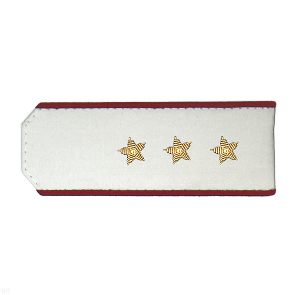 Погоны из рубаш. ткани белые с вышит. крап. кантом, вышит. канителью (ст. прапорщик)