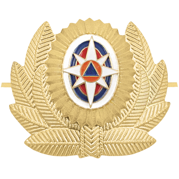 Кокарда мет. МЧС нов/обр (с розой ветров) большая зол. (широкий овал)