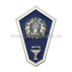 Значок мет. "Гробик" РБ Среднее образование (фармацевтическое/ветеринарное) латунь, хол.эм. с накладкой