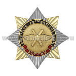 Значок мет. Орден-звезда Воздушно-космические силы