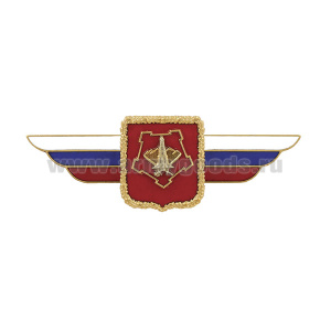 Значок мет. Должностной знак командующего войсками Центрального военного округа (№13)