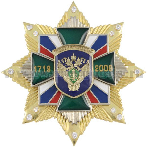 Значок мет. Ростехнадзор 1719-2009 (зел. крест с накл., заливка смолой, на звезде с фианитами)
