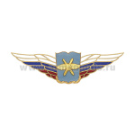 Значок мет. Должностной знак начальника военной академии (ВКС) (№52)