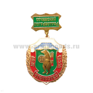 Медаль Долг, отечество, честь (на прямоуг. планке - Сочинский ПО)