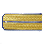 Погоны парад. зол. шелк. 1 вас. пр.