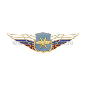 Значок мет. Должностной знак командира дивизии и ей равного соединения (ВКС) (№48)