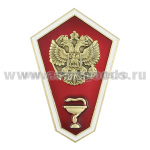 Значок мет. "Гробик" Среднее медицинское образование (латунь, хол.эм. с накладным орлом РФ)