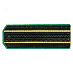 Погоны черн. (зел. кант) 2 желт. пр.