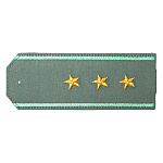 Погоны «машинная вышивка» из рубаш. ткани оливк. с вышит. зел. кантом с вышит. звездами (ст. прапорщик)