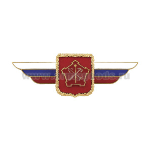 Значок мет. Должностной знак командующего войсками Западного военного округа (№11)