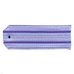 Погоны голуб. 2 вас. пр. (ФСБ нов/обр руб.)