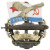 Значок мет. 20 лет экипажу К-534 (ПЛ с орлом на флаге ВМФ СССР)