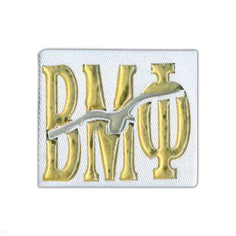 Погоны ДМБ мал. белые (чайка) ВМФ