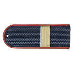 Погоны серо-син. крап. кант (ФСИН на китель) с нашит. металлиз. текстил. гал (ст. сержант) пластик