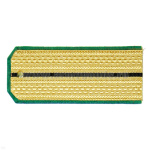 Погоны парад. зол. шелк. зел. кант 1 черн. пр.