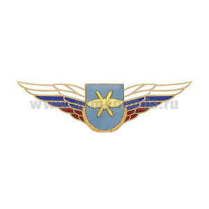 Значок мет. Должностной знак командира бригады и ей равного соединения (ВКС) (№49)