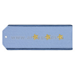 Погоны «машинная вышивка» из рубаш. ткани ФСБ голуб. с вышит. вас. кантом с вышит. звездами (ст. прапорщик)