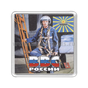 Магнит пластиковый ВВС России (пилот)
