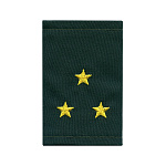 Ф/пог. Росгвардия (расцв. "Сосна") вышит. желт. (ст. лейтенант)