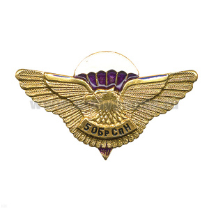 Значок мет. 5 ОБрСпН (серия орел с парашютом, крылья в стороны с названиями дивизий ВДВ)