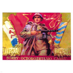 Магнит виниловый (гибкий) Воину-освободителю слава!