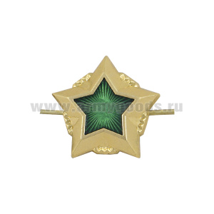 Звезда на погоны мет. 20 мм ФССП (зол. с зел. эмалью)