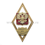 Значок мет. ВВМУРЭ им. А.С. Попова (ромб РФ) гор.эм.