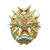 Значок мет. Мальт. крест с орлом РА и мечами (с флагом РФ внизу) красн. с окантовкой