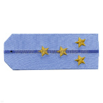 Погоны «машинная вышивка» из рубаш. ткани ФСБ голуб. с вышит. 1 вас. просв. с вышит. звездами (капитан)