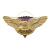 Значок мет. 76 гв. ВДД (серия орел с парашютом, крылья в стороны с названиями дивизий ВДВ)