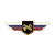 Значок мет. Должностной знак командира полка и ему равной воинской части войсковой противовоздушной обороны (№41)