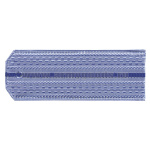 Погоны голуб. 1 вас. пр. (ФСБ нов/обр руб.) на пластике