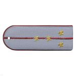 Погоны «машинная вышивка» из рубаш. ткани ФСИН светло-серые с 1 вышит. крап. просв. с вышит. звездами (капитан)