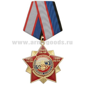 Медаль 55 лет Подразделениям особого риска 1954-2009 (звезда с накладкой, смола)