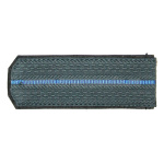 Погоны сер. 1 голуб. пр. (ФССП ст/обр)