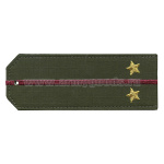 Погоны «машинная вышивка» оливк. (ткань rip-stop) c 1 вышит. краповым просв. с вышитыми звездами (лейтенант) на костюм офисный