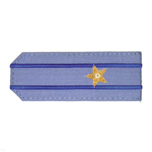 Погоны из рубаш. ткани серо-голуб. с вышит. 2 вас. просв., вышит. канителью (майор)