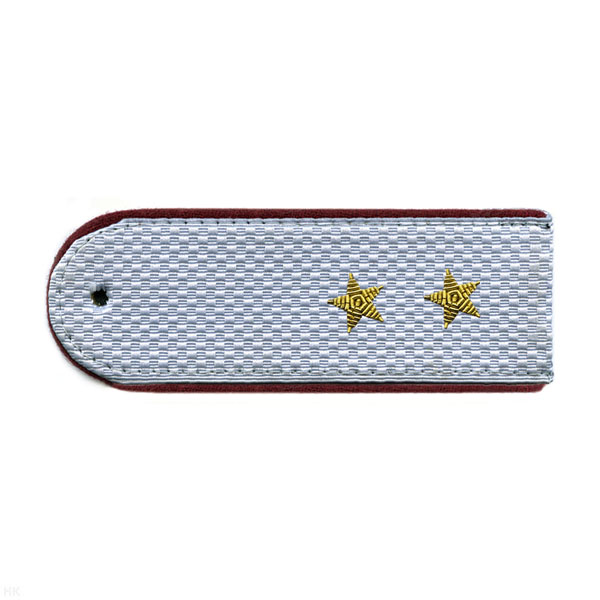 Погоны ФСИН светло-серые с крап. кантом на рубашку, вышит. канителью (прапорщик)