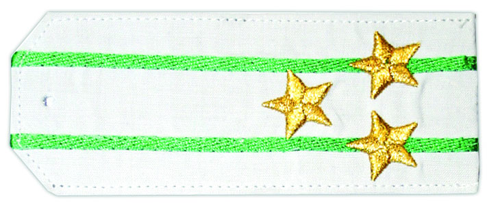Погоны «машинная вышивка» из рубаш. ткани белые с 2 вышит. зел. просв. с вышит. звездами (полковник)