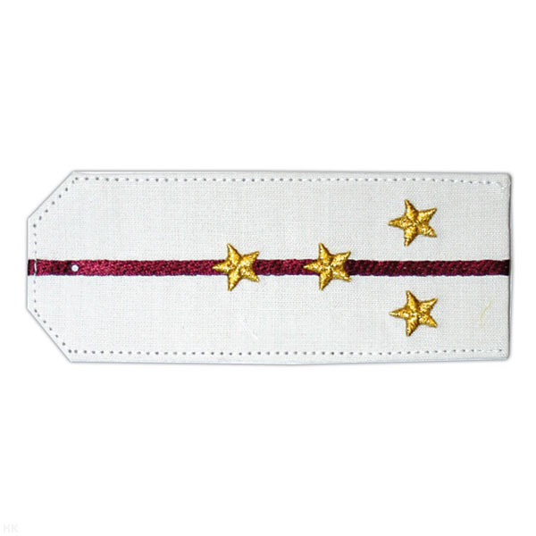 Погоны «машинная вышивка» из рубаш. ткани белые с 1 вышит. крап. просв. с вышит. звездами (капитан)